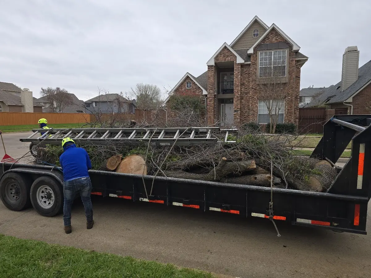 Expert Tree Fertilization with proper safety equipment in Cold Spring